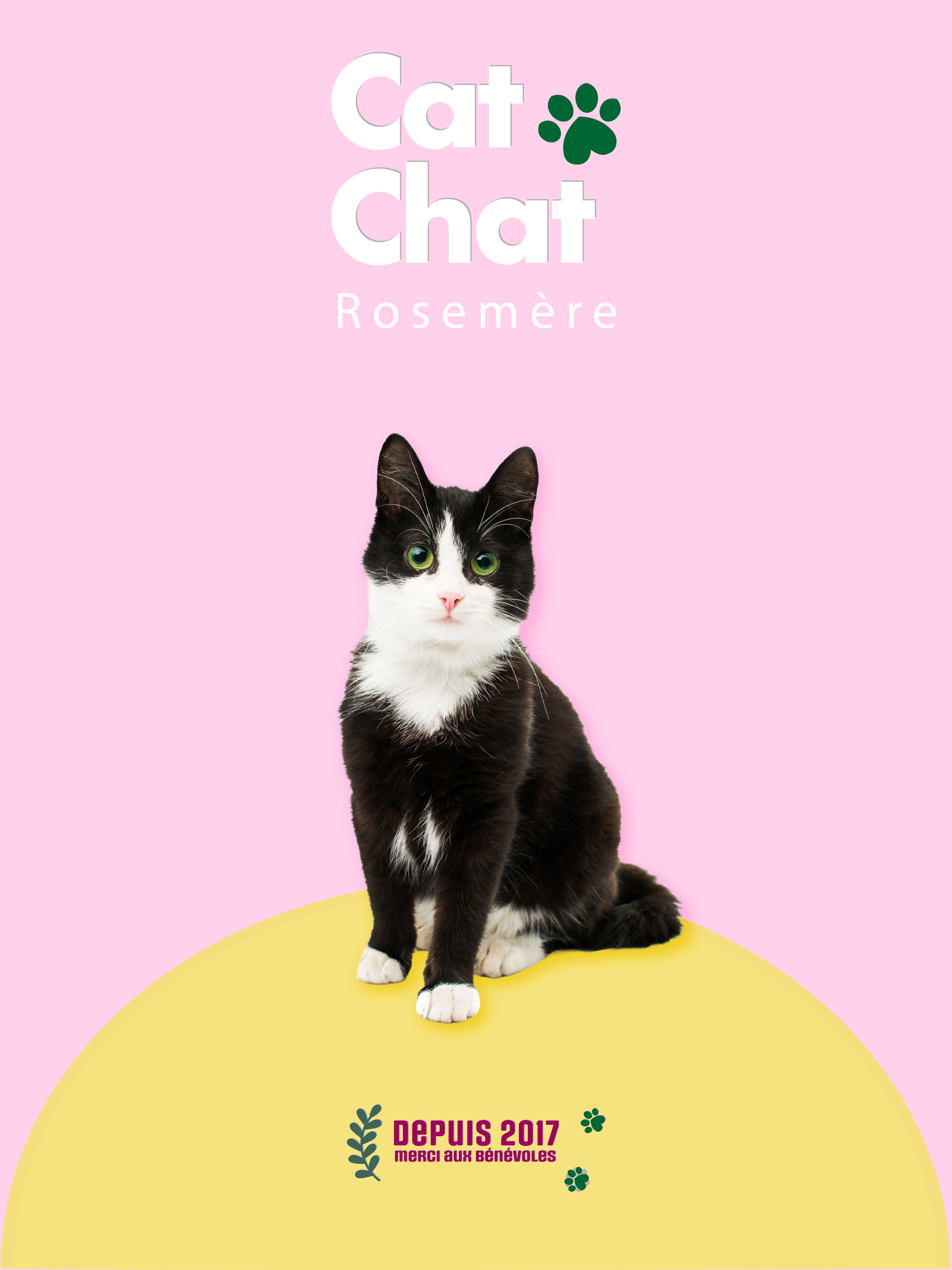 Photo principale CatChat Rosemère